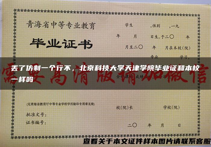 丢了仿制一个行不，北京科技大学天津学院毕业证和本校一样吗