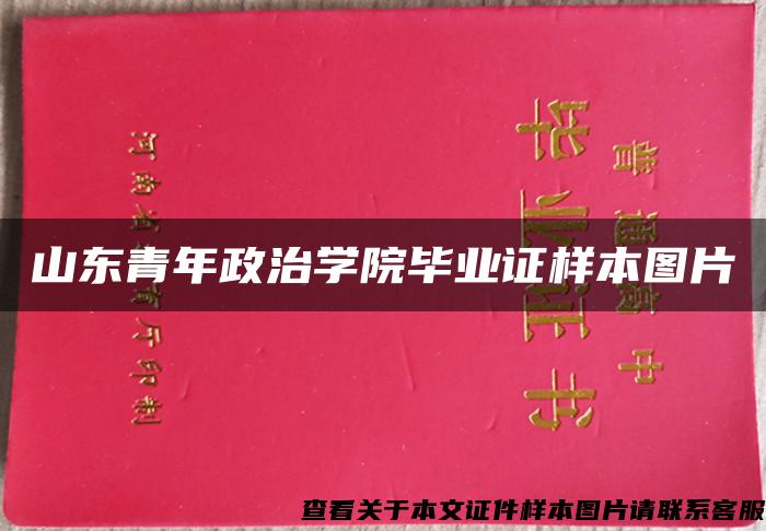 山东青年政治学院毕业证样本图片