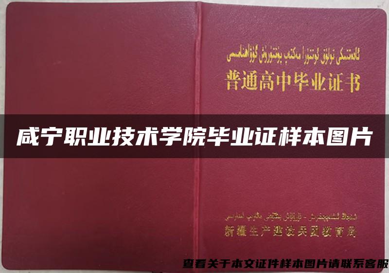 咸宁职业技术学院毕业证样本图片