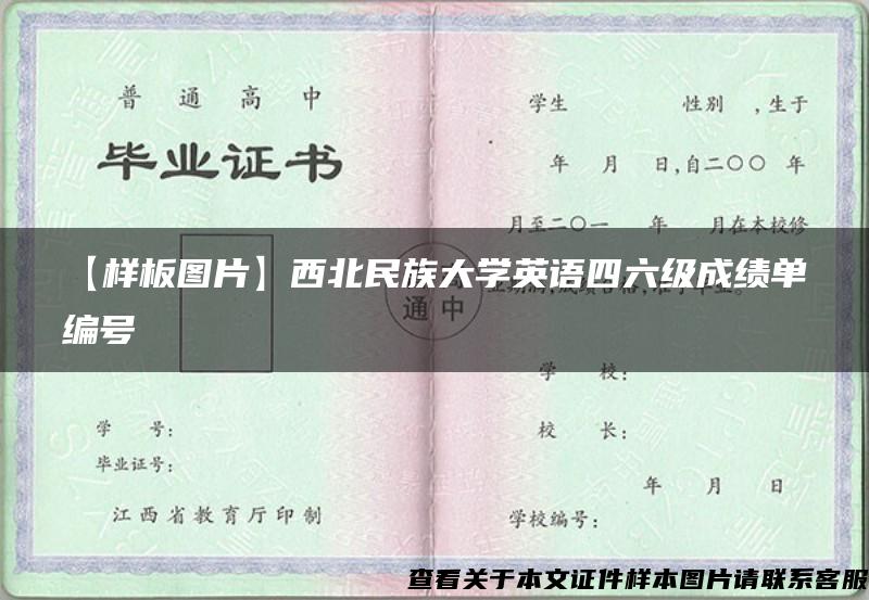 【样板图片】西北民族大学英语四六级成绩单编号