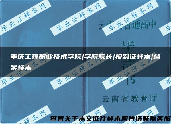 重庆工程职业技术学院|学院院长|报到证样本|档案样本