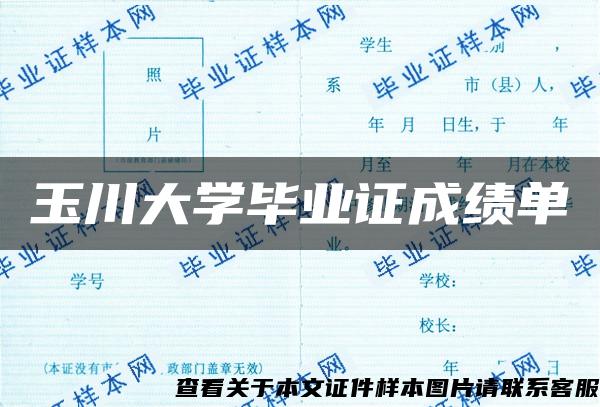 玉川大学毕业证成绩单