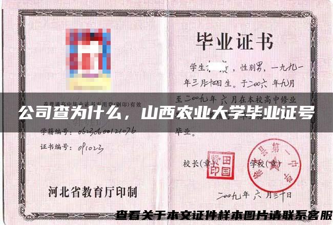 公司查为什么，山西农业大学毕业证号