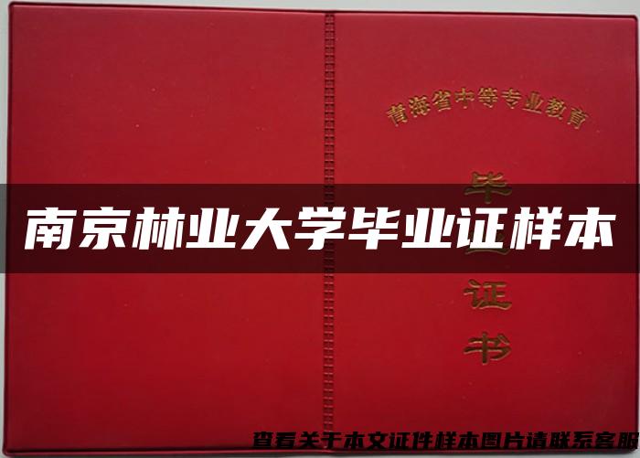 南京林业大学毕业证样本