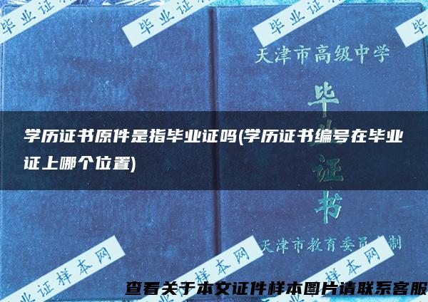 学历证书原件是指毕业证吗(学历证书编号在毕业证上哪个位置)