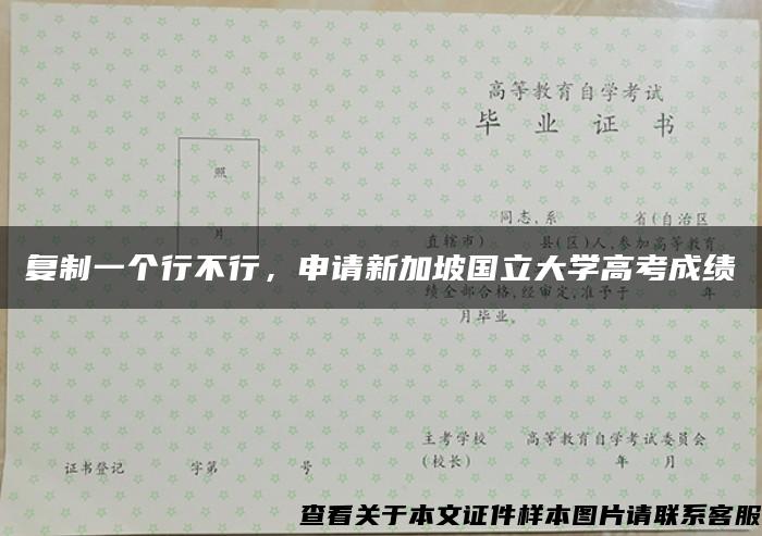 复制一个行不行，申请新加坡国立大学高考成绩