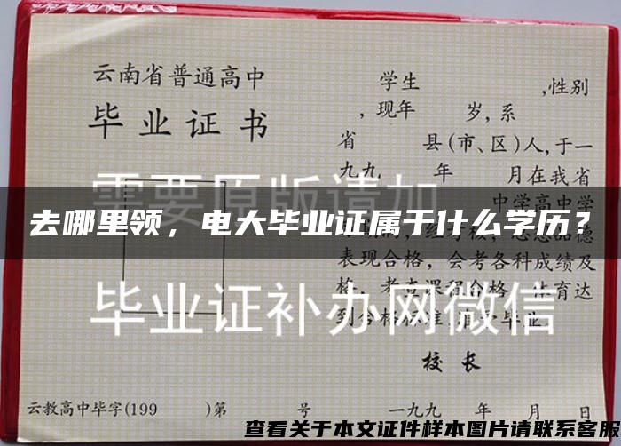 去哪里领，电大毕业证属于什么学历？