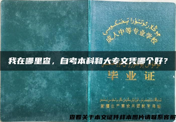 我在哪里查，自考本科和大专文凭哪个好？