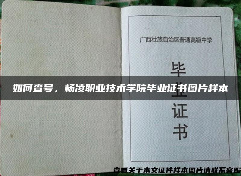 如何查号，杨凌职业技术学院毕业证书图片样本