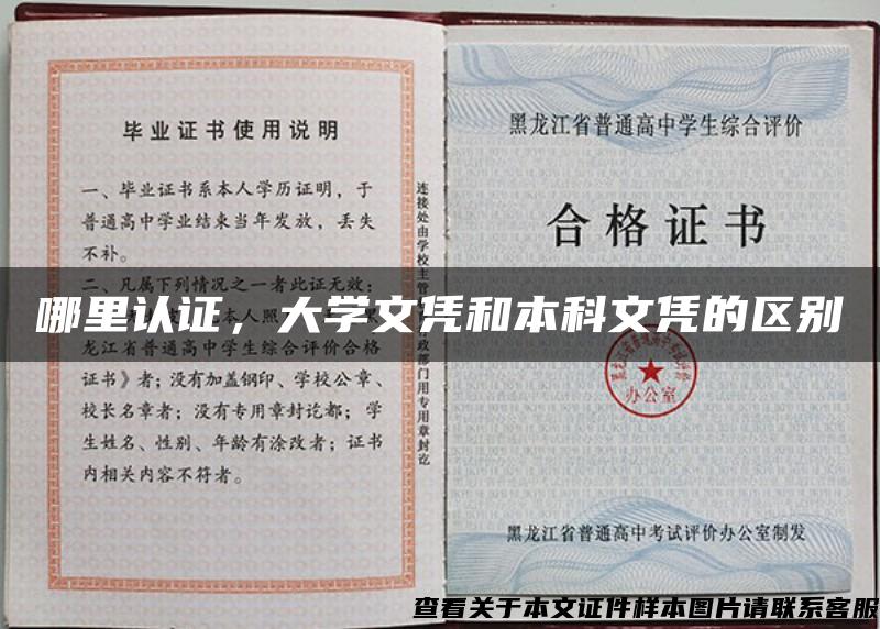 哪里认证，大学文凭和本科文凭的区别