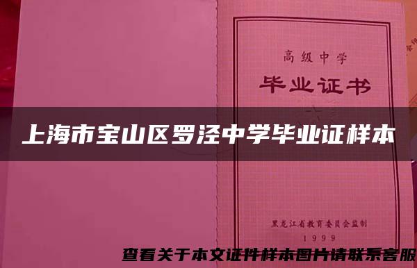 上海市宝山区罗泾中学毕业证样本