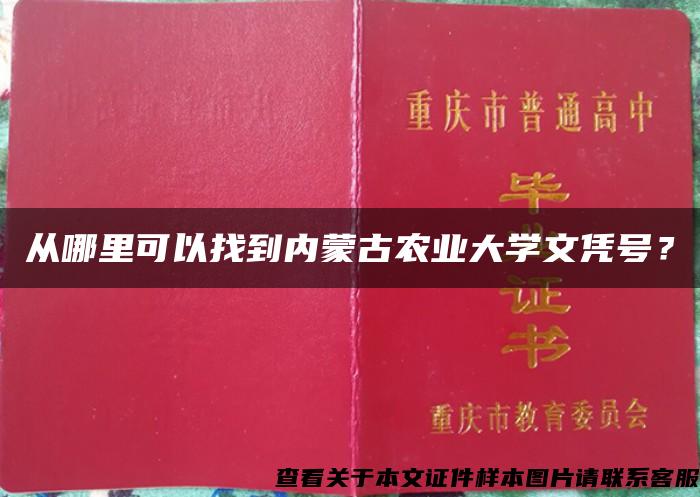 从哪里可以找到内蒙古农业大学文凭号？