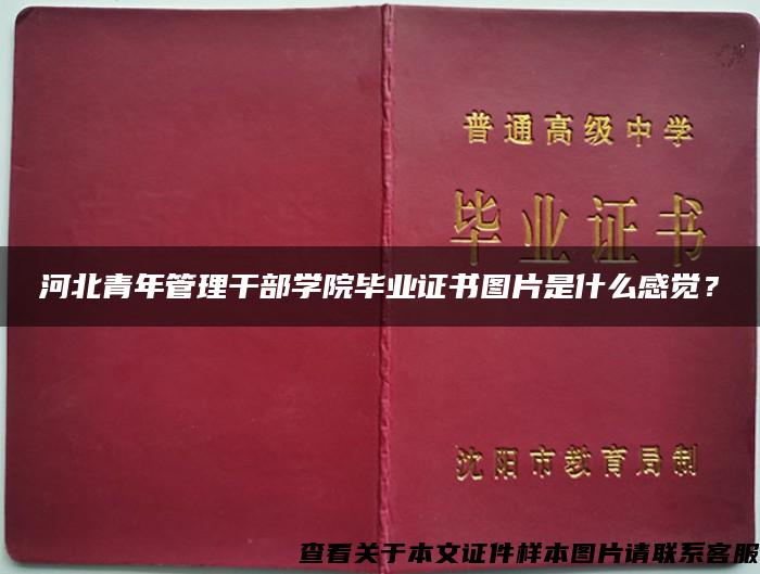 河北青年管理干部学院毕业证书图片是什么感觉？