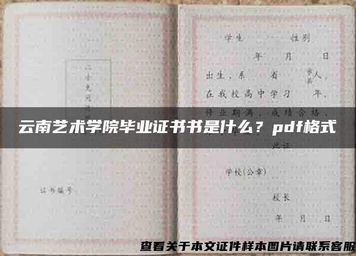 云南艺术学院毕业证书书是什么？pdf格式