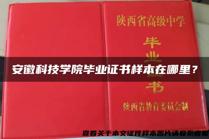 安徽科技学院毕业证书样本在哪里？