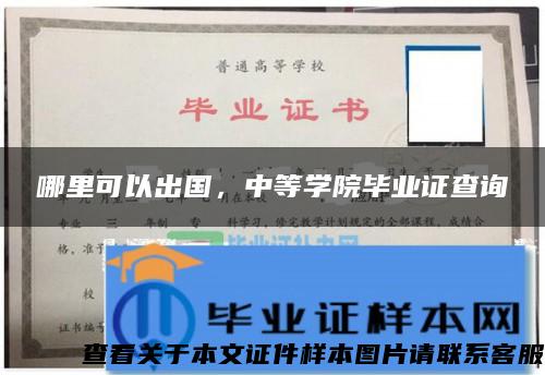 哪里可以出国，中等学院毕业证查询