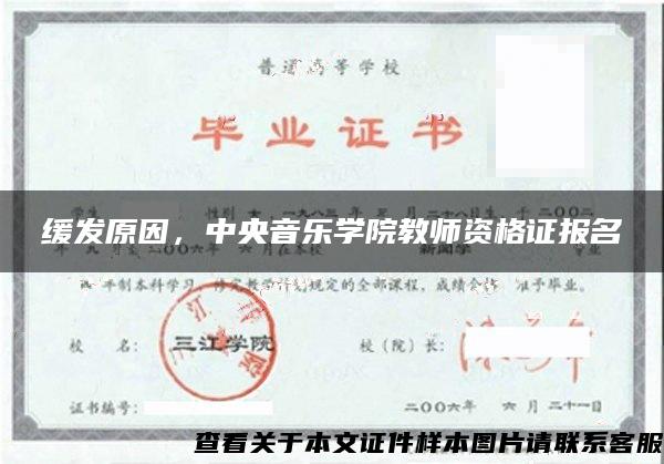 缓发原因，中央音乐学院教师资格证报名