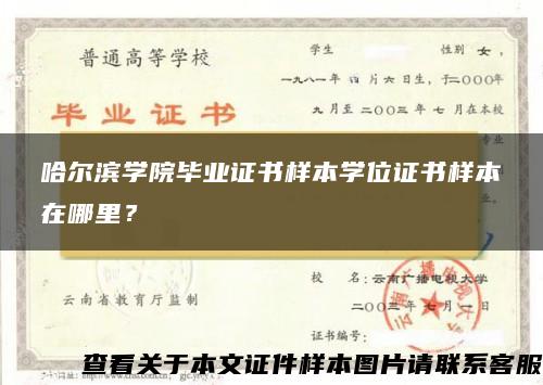 哈尔滨学院毕业证书样本学位证书样本在哪里？