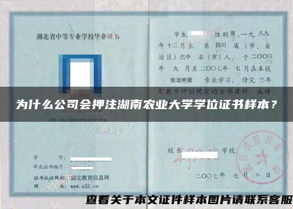 为什么公司会押注湖南农业大学学位证书样本？