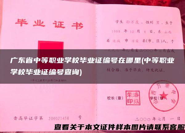 广东省中等职业学校毕业证编号在哪里(中等职业学校毕业证编号查询)