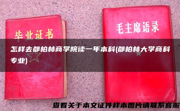 怎样去都柏林商学院读一年本科(都柏林大学商科专业)