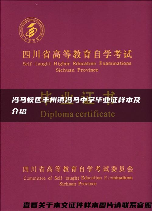 冯马校区丰州镇冯马中学毕业证样本及介绍