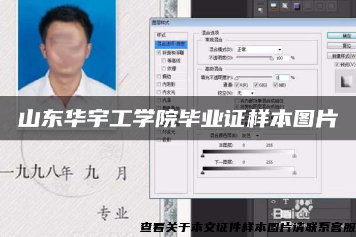 山东华宇工学院毕业证样本图片