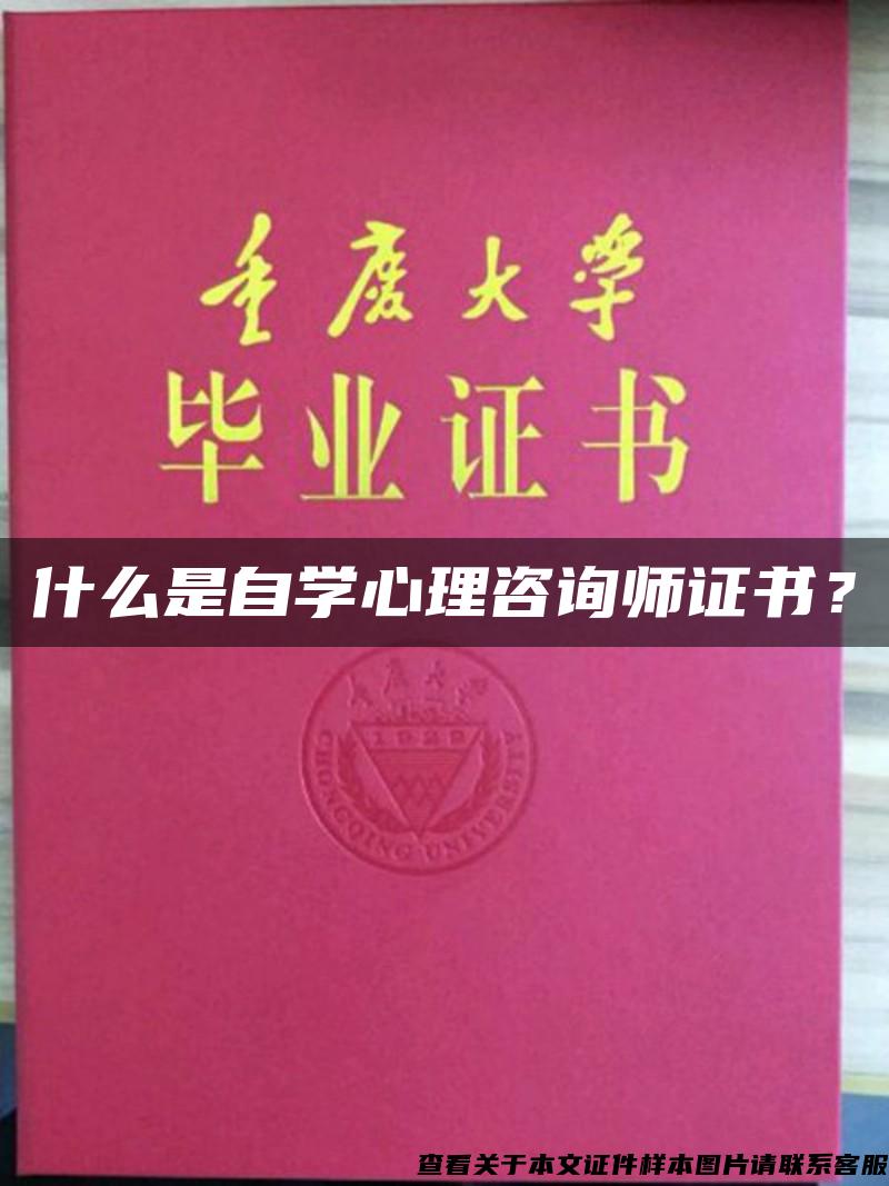 什么是自学心理咨询师证书？