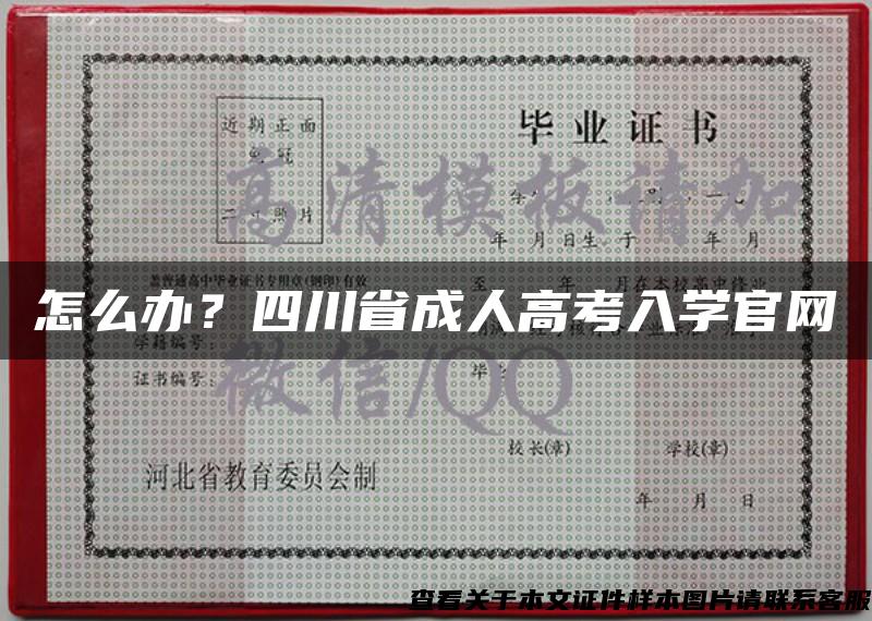 怎么办？四川省成人高考入学官网