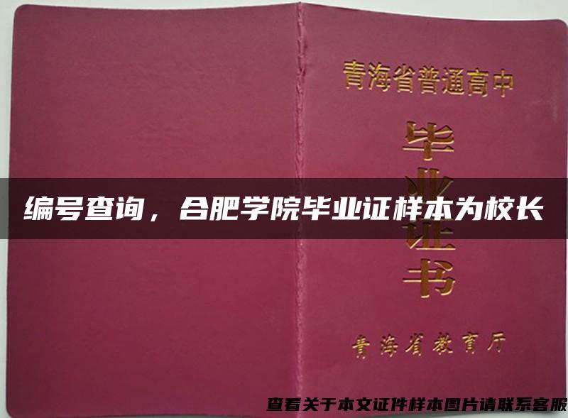 编号查询，合肥学院毕业证样本为校长