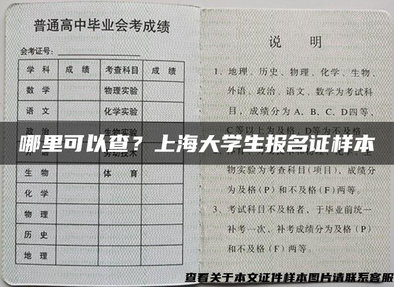 哪里可以查？上海大学生报名证样本