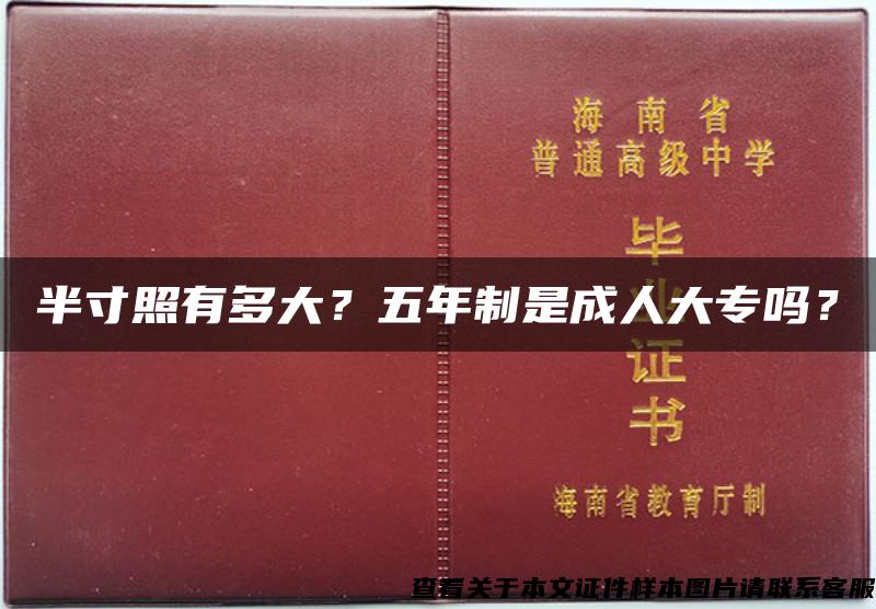 半寸照有多大？五年制是成人大专吗？