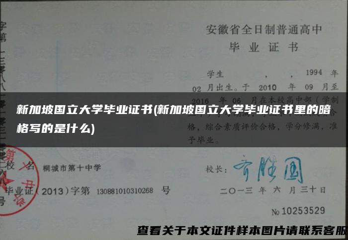 新加坡国立大学毕业证书(新加坡国立大学毕业证书里的暗格写的是什么)