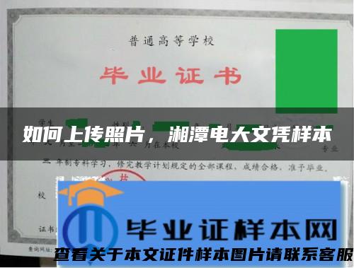 如何上传照片，湘潭电大文凭样本