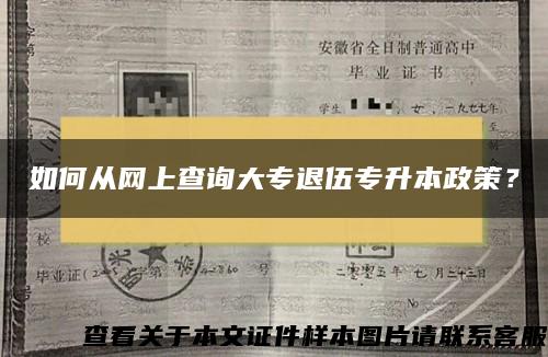 如何从网上查询大专退伍专升本政策？