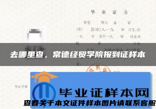 去哪里查，常德经贸学院报到证样本