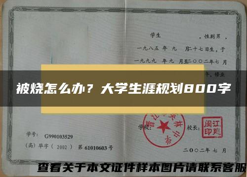 被烧怎么办？大学生涯规划800字