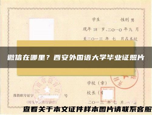 微信在哪里？西安外国语大学毕业证照片