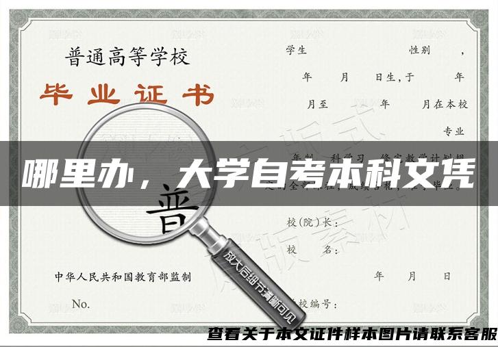 哪里办，大学自考本科文凭