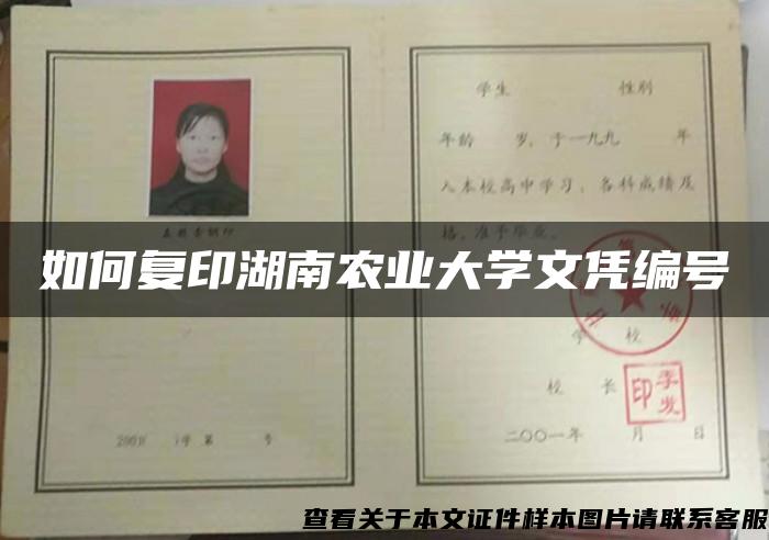 如何复印湖南农业大学文凭编号