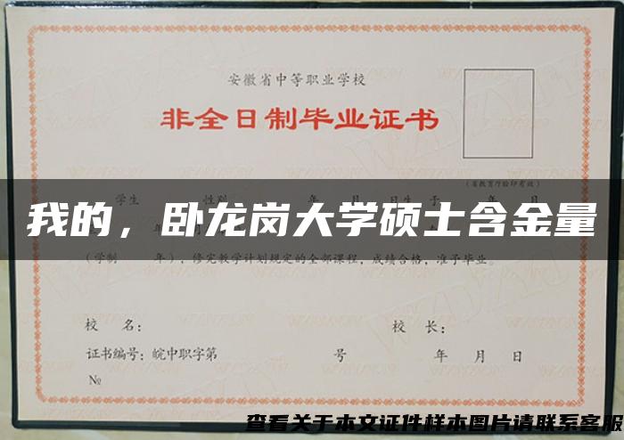 我的，卧龙岗大学硕士含金量