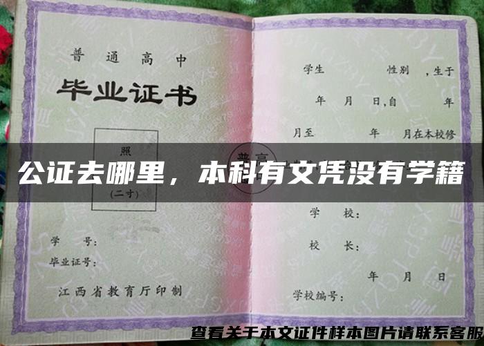 公证去哪里，本科有文凭没有学籍