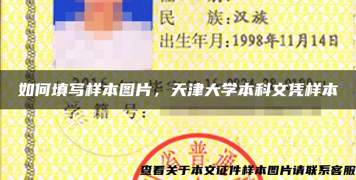 如何填写样本图片，天津大学本科文凭样本