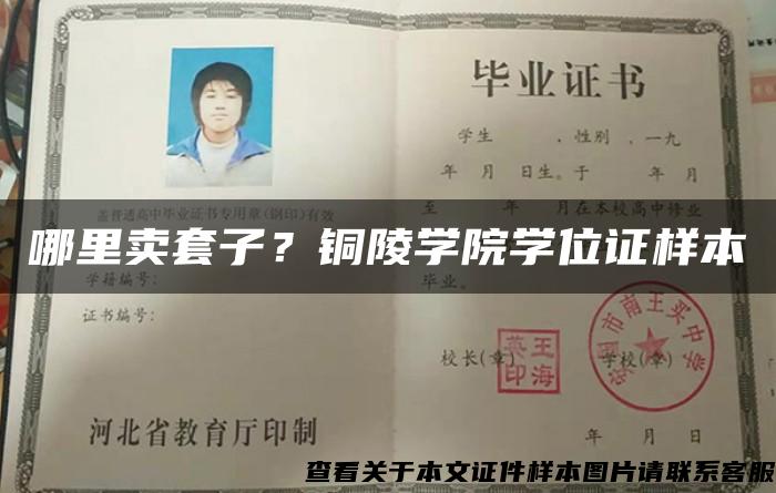 哪里卖套子？铜陵学院学位证样本