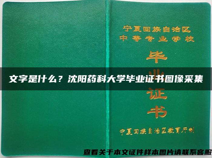 文字是什么？沈阳药科大学毕业证书图像采集