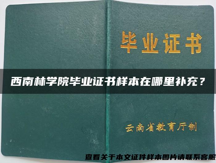 西南林学院毕业证书样本在哪里补充？