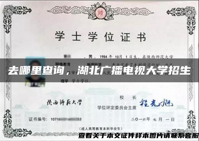 去哪里查询，湖北广播电视大学招生