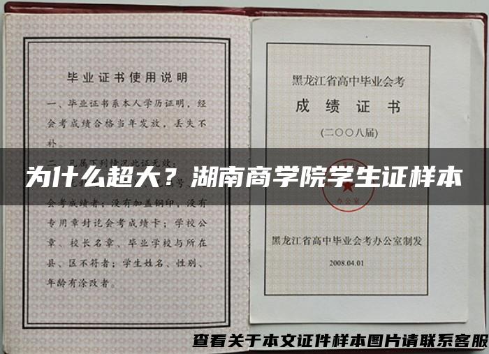 为什么超大？湖南商学院学生证样本