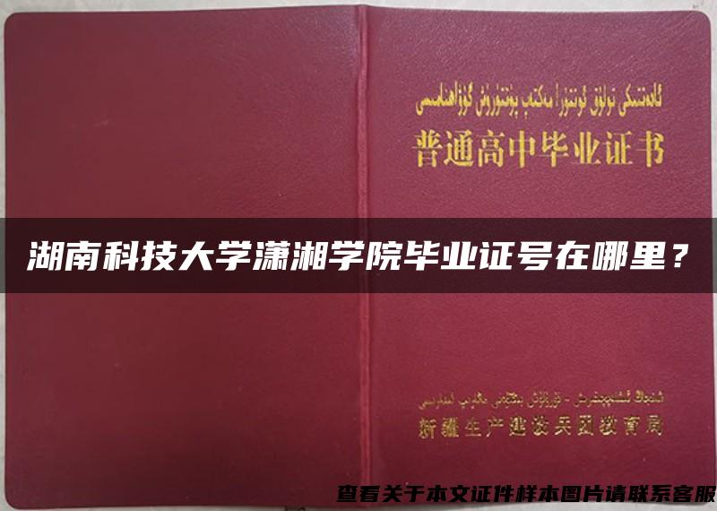 湖南科技大学潇湘学院毕业证号在哪里？