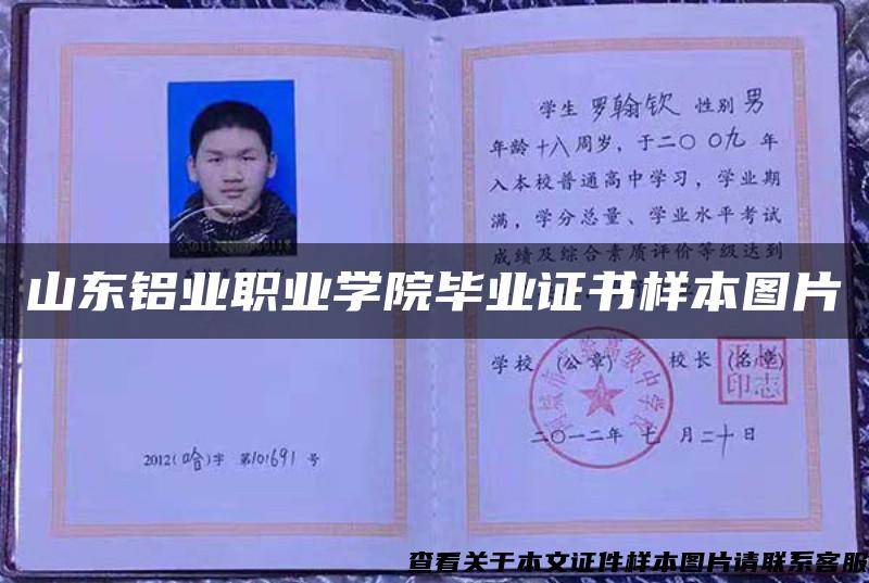 山东铝业职业学院毕业证书样本图片